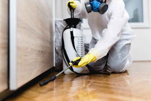 Best Best Pest Control Companies  in Henderson, LA