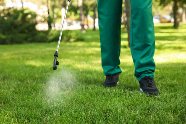 Professional Pest Control in Henderson, LA