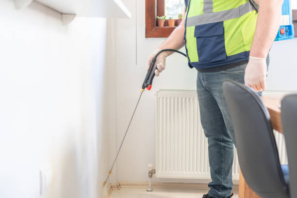 Wasp Removal Services in Henderson, LA
