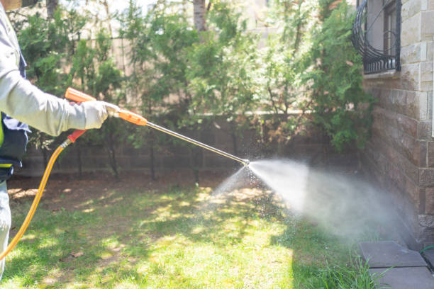 Best Best Pest Control Companies  in Henderson, LA