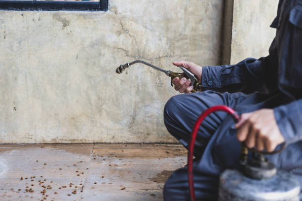 Best Pest Removal Services  in Henderson, LA